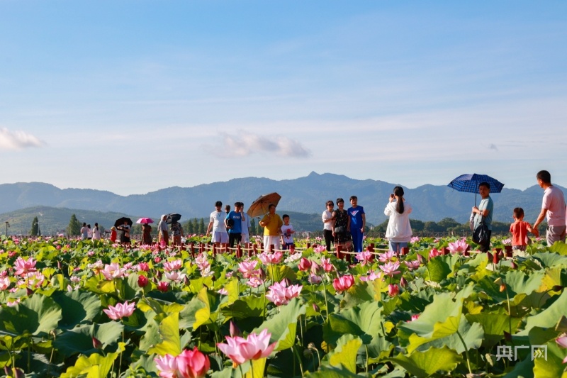 江西莲花在线，探索与发现的旅程