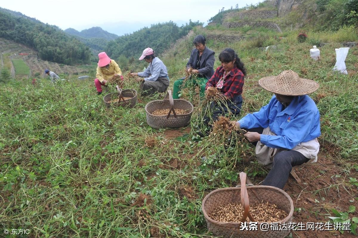 谬琼岚 第2页