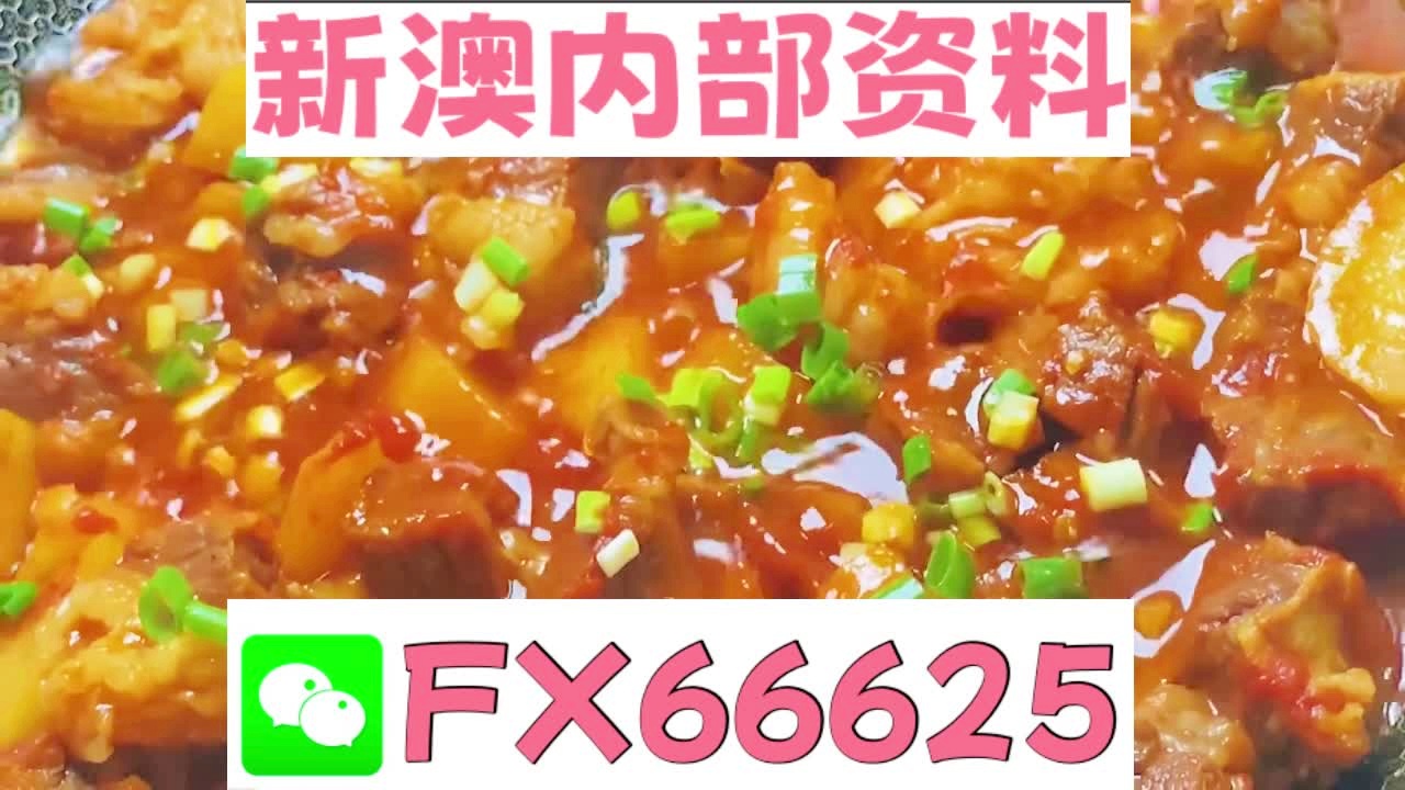 新奥天天免费资料大全，探索与挖掘的宝藏