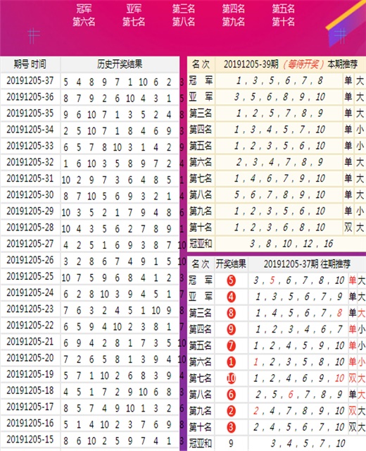 澳门王中王100%的资料一，揭示背后的违法犯罪问题