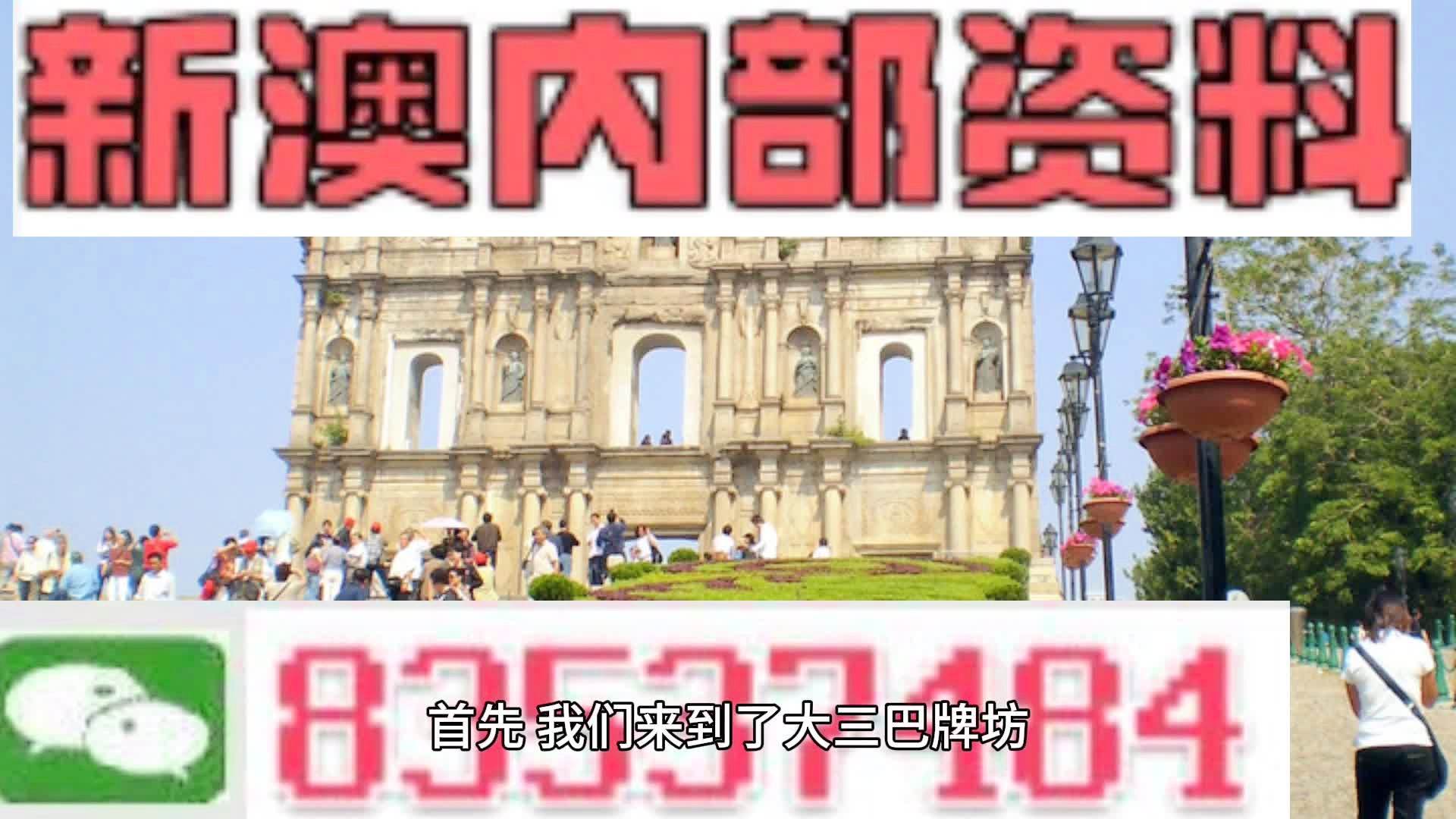 新澳2024大全正版免费资料，探索与期待