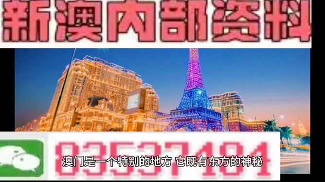 新澳门最精准正最精准龙门——揭示背后的风险与挑战