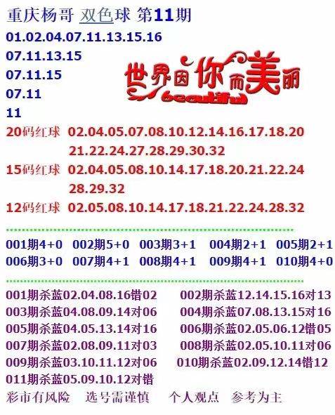 2024正版资料大全开码，一站式获取最新资源的关键指南