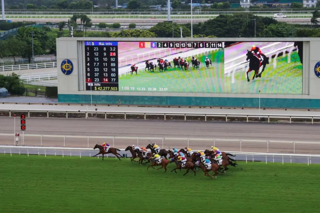 揭秘香港马会彩票，探索2024年今期开奖号码的奥秘