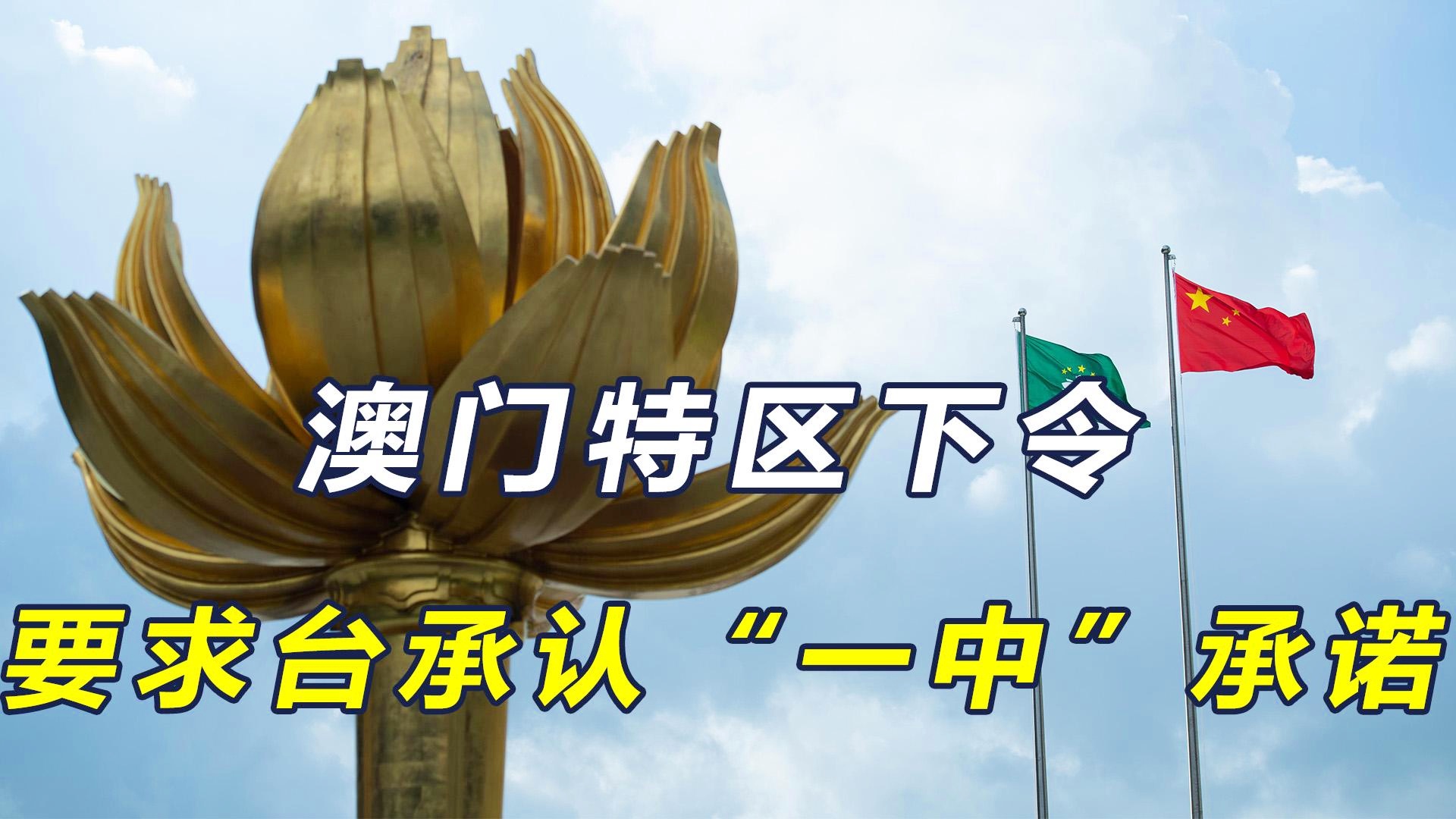 关于新澳门一码一肖一特一中准选的探讨与警示——警惕违法犯罪行为的重要性