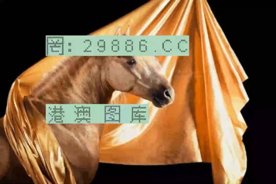 精准跑狗，探索数字世界中的新纪元——77777与88888的力量