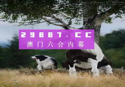 探索新版跑狗游戏，7777788888管家婆的独特魅力