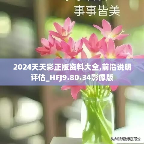 2024年12月26日 第14页