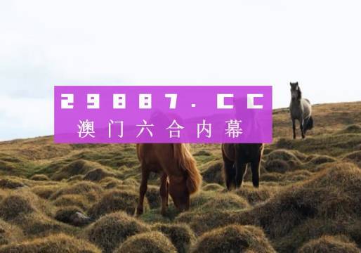 澳门4949开奖现场直播，揭开彩票魅力的神秘面纱