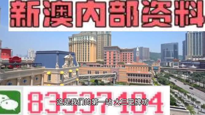 新澳门资料免费长期公开，迈向未来的繁荣与共享（2024展望）