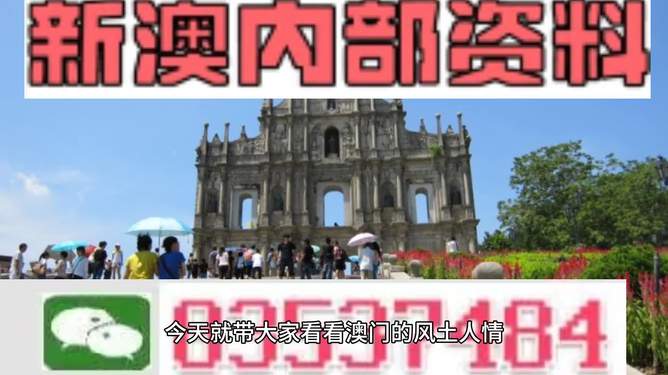 探索2024新澳天天免费资料，无限可能的机遇与挑战